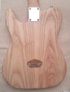 Tele Swamp Ash Corpo Back